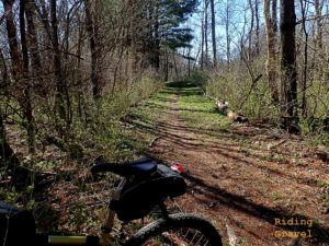 A dirt trail and bicycle