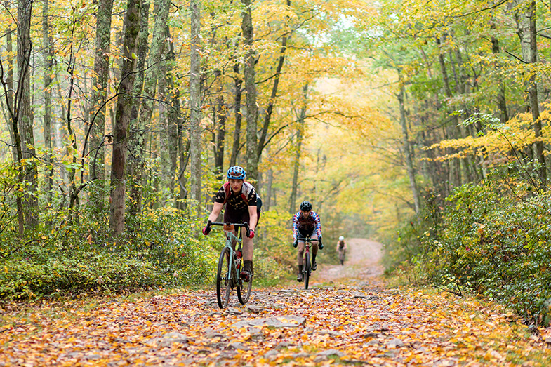 Three riders climb a road in a colorful Fall scene in a forest. 