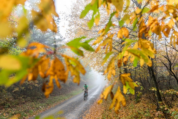 Fall colors seen in front of a rider on a wet, misty rural road at unPAved of the Susquehanna River Valley event
