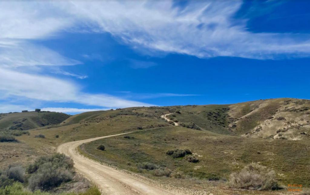 A view of a winding gravel road in the Carrizo Plains of California.